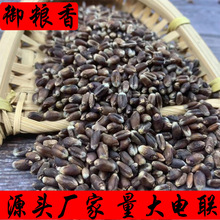 新黑小麦 黑麦米 黑麦仁 河南黑麦 山东黑麦 黑麦 产地厂家直发