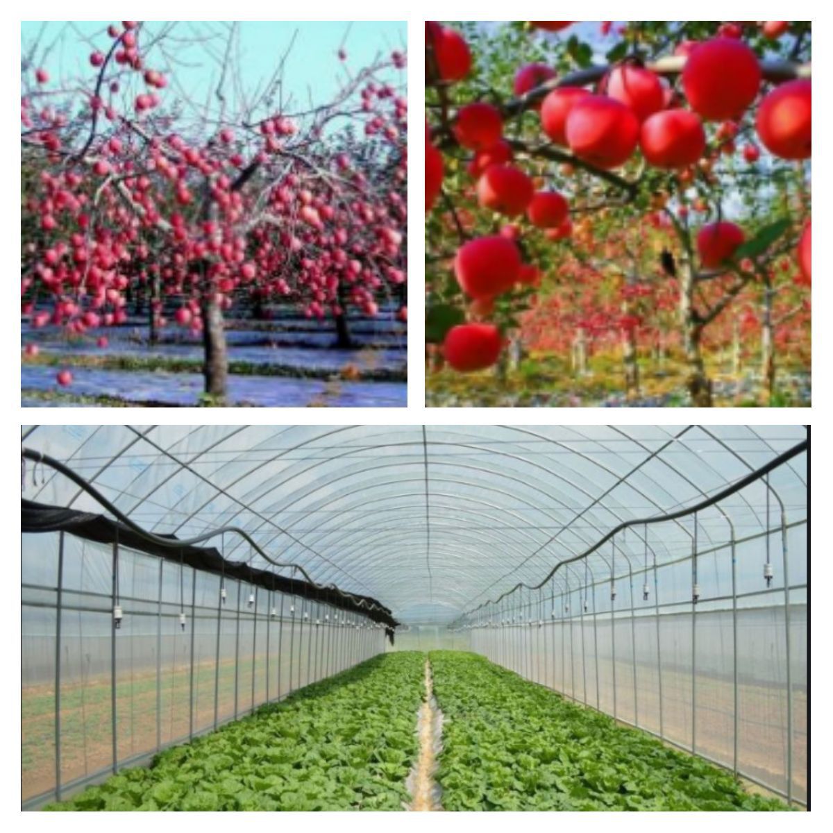 迅捷图片转换器-202275-1656991948856.p