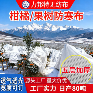 �S�Ұ�ɫ���ٷ��������@��˪��͸���ˮ�����r�I��������o����