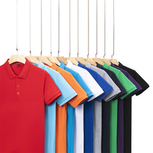 A1118��220��26֧�����޼�ɫ���w���m���e���IPOLO��