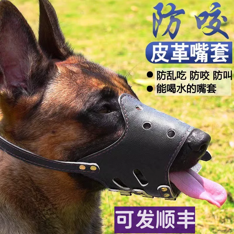 Собаки против укусов