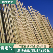 厂家热销竹篱笆 装修装饰防腐防虫竹竿 庭院吊顶隔断竹杆青毛竹子