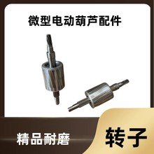 微型电动葫芦转子定子齿轮220v小吊机提升机卷扬机起重机配件大全