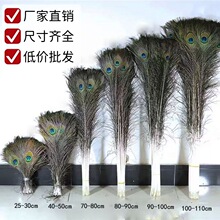 厂家批发25-130cm天然孔雀毛翎尾孔雀羽毛婚庆花瓶diy饰品配件