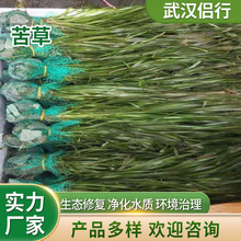 �ļ���ݰ���ݰ������ݴ̿��ˮ����ˮֲ��������B�ޏ͹���