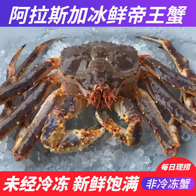 鲜活帝王蟹阿拉斯加海鲜水产大螃蟹冰鲜皇帝4-10斤速卖通独立站