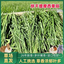 兔草烘干提摩西草段 兔子荷兰猪豚鼠龙猫牧草兔饲料提摩西干草1kg