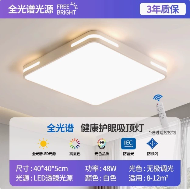 LED rectangular ceiling light, lights for living room for corridor for gazebo