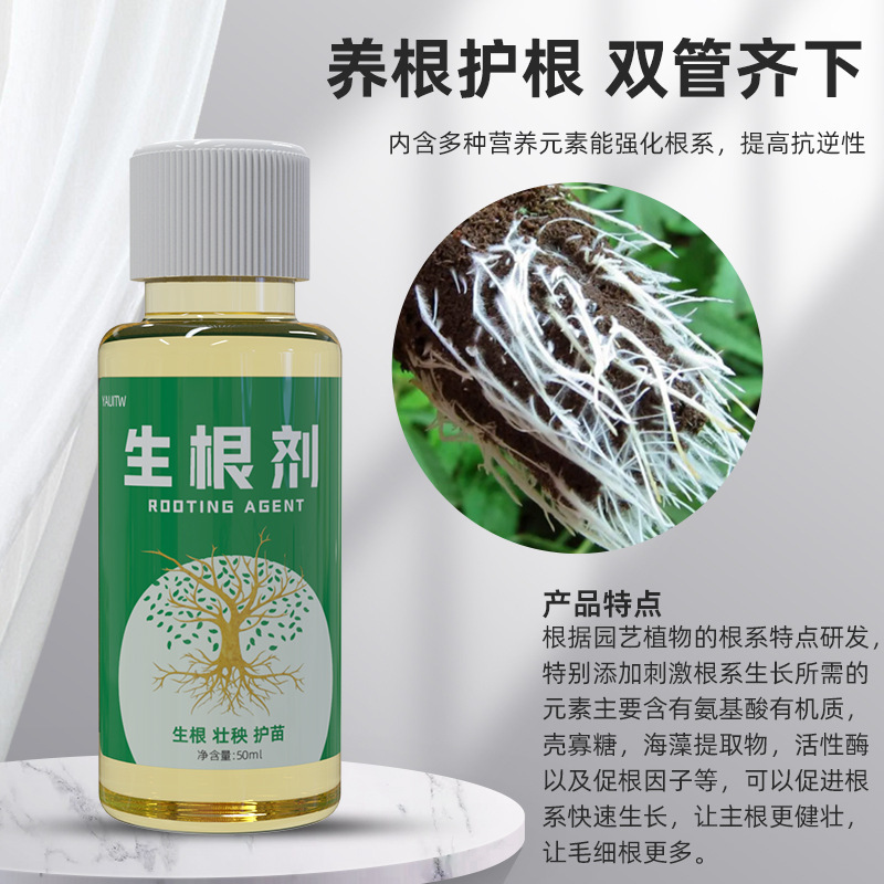 急速生根液壮苗粉剤植物通用栄養液多肉緑羅花卉挿し木強力生根粉|undefined