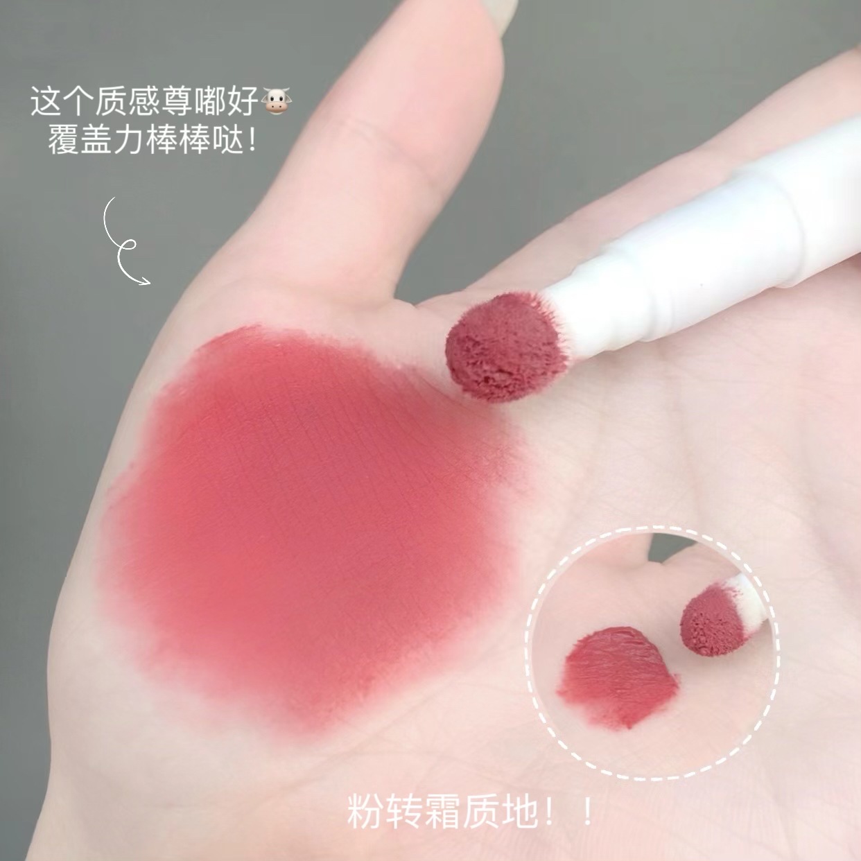 NINISOSO Lip gloss, Lip powder cream, cushion Lip cream, matte non-stick cup, nude lipstick, lip mask, lip mud for whitening undefined