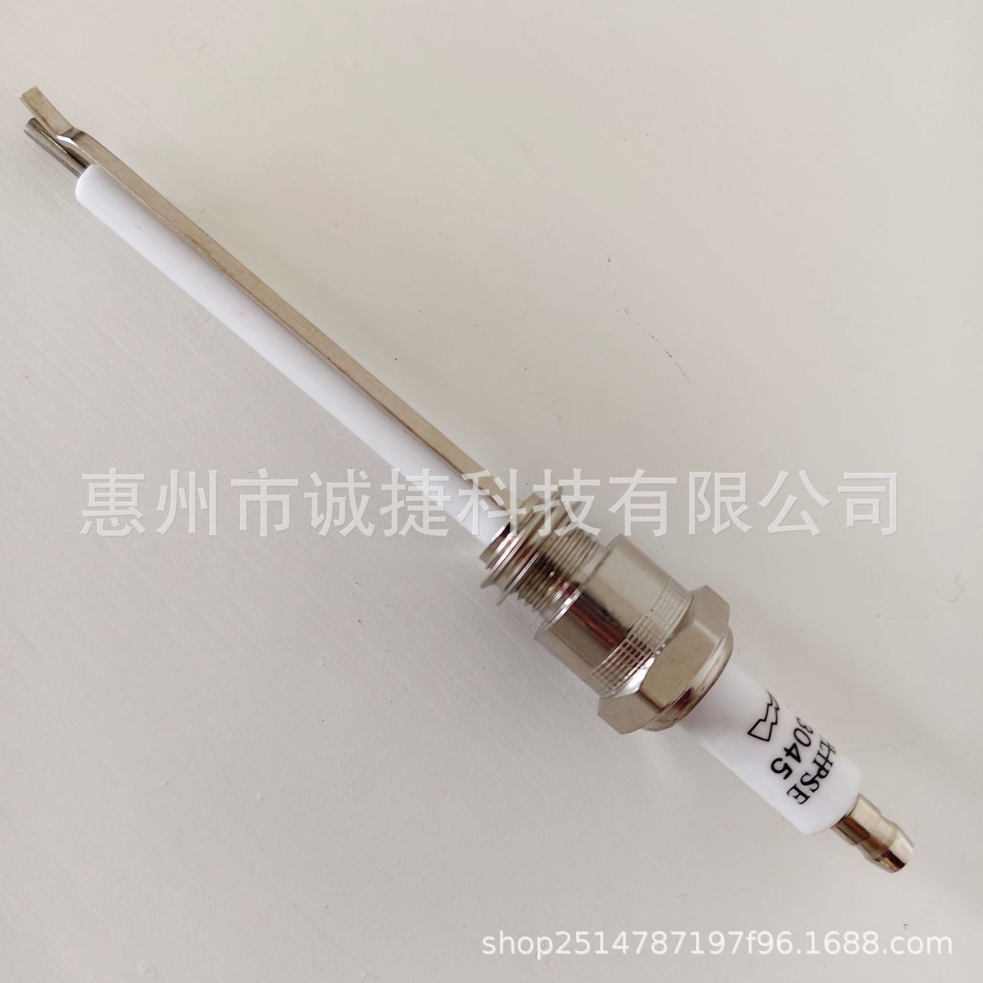 美国 ECLIPSE天时TJ点火电极10002242-1燃烧机火花塞 23045点火针