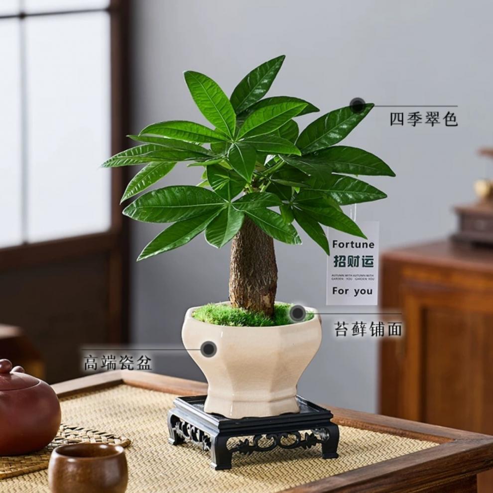 ec58733d-0e49-4697-ac19-266369040a73.jpe