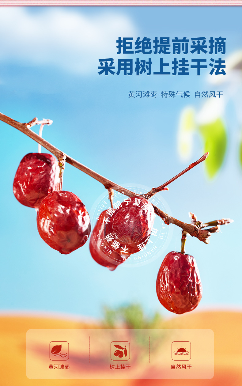 Ningxia Yellow River Beach Jujube Dried Red Dates Ready to Eat 500g overview