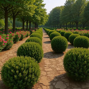 �u���� �a�ع����u���� ��������ؙu�س�����Ҏ���Rȫ