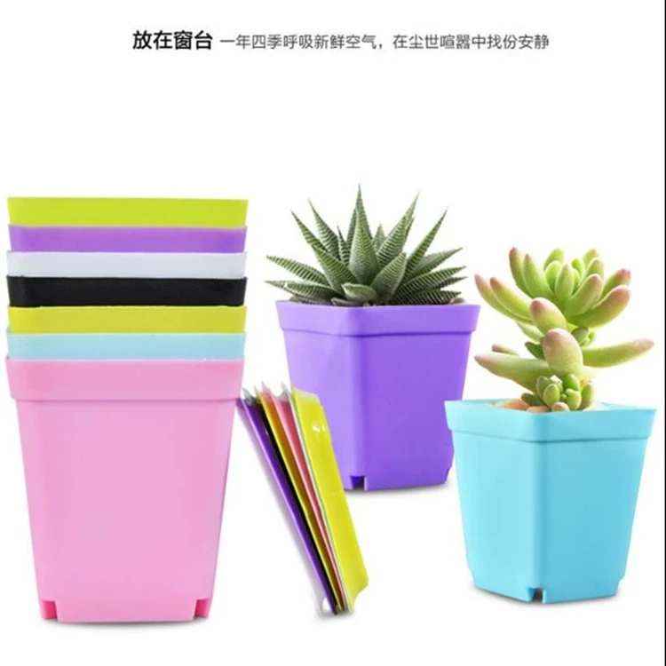 Цветное утолщенное мясистое растение Пластиковый цветочный горшок Высококачественный маленький мясистый горшок Маленький квадратный горшок Лоток Цвет Квадратный Размер Черный квадрат