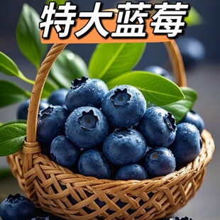 �ش��{ݮ�r��20+��̖�{ݮ����朮a��ֱ�l��̴��l���l