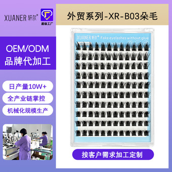 定制轩尔外贸系列跨境亚马逊爆款单簇睫毛热熔朵毛套装欧美假睫毛