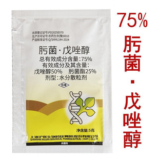 75%뿾����� 뿾������٘䯏�財 �rș���������l