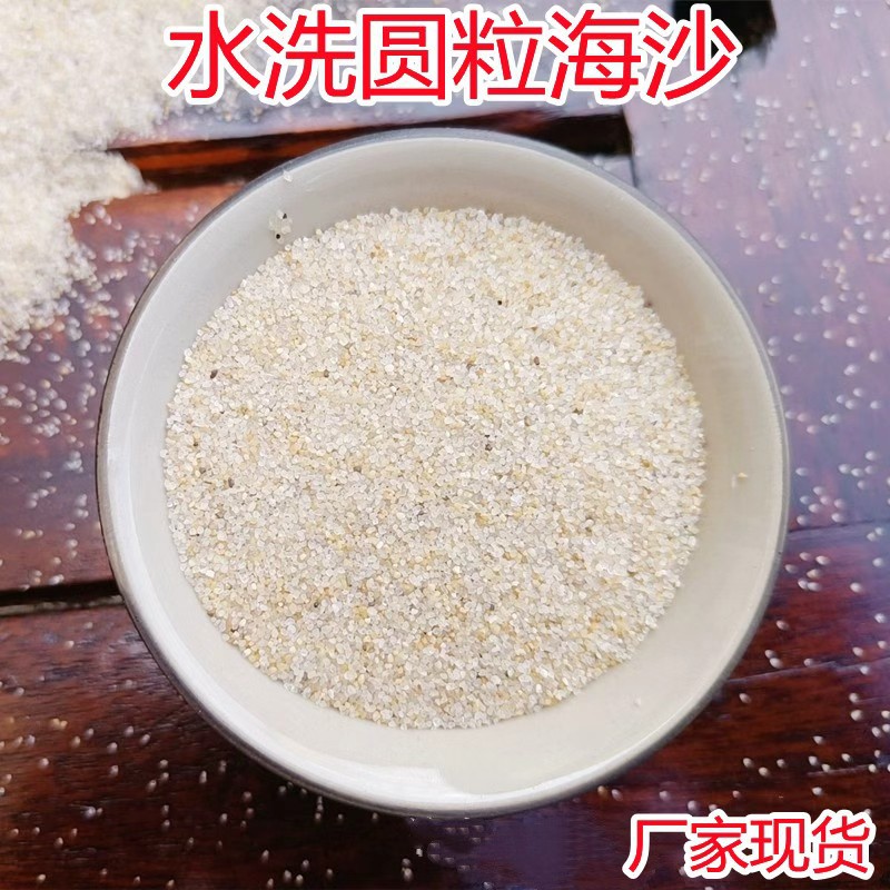圆粒海沙批发 上海儿童沙池用白沙鱼缸铺底造景跳远沙坑细沙