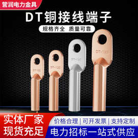 DT铜鼻子 25-300平方 紫铜接线端子 镀锡线耳