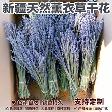 纯天然新疆薰衣草干花香薰香包材料熏衣草花束干花真花厂家直发