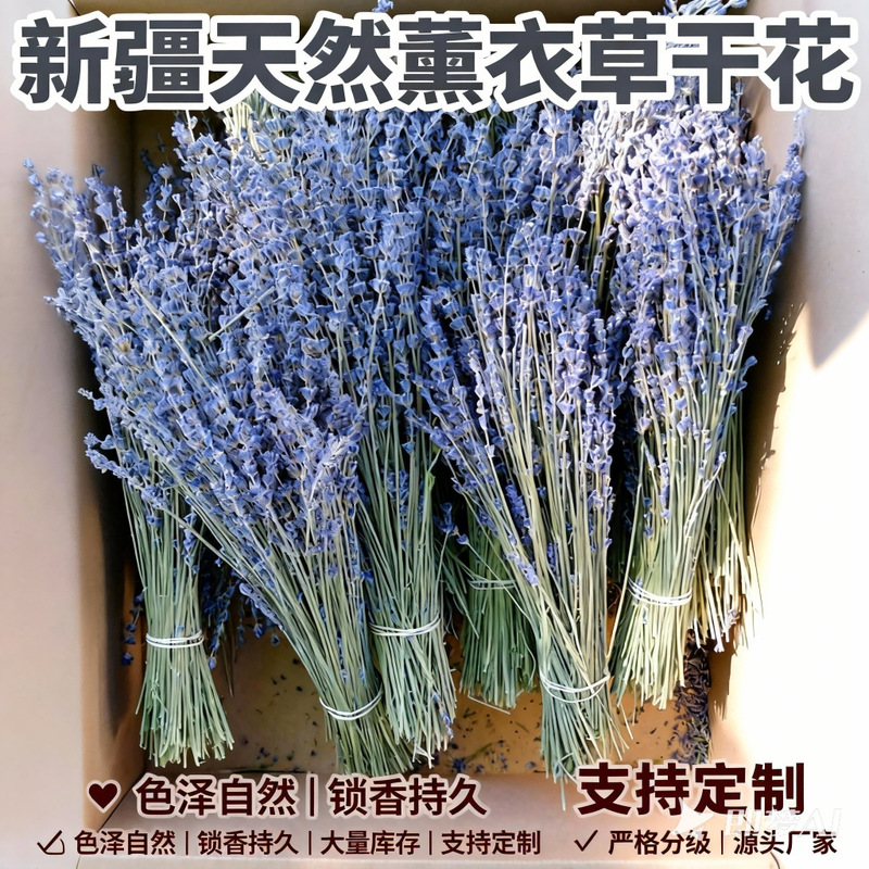 Pure Natural Lavender Dried Flower Aromatherapy Sachet Xinjiang Yili Lavender Bouquet Wholesale Real Flowers