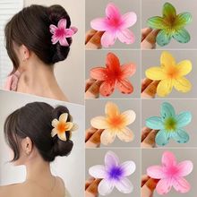 2025�＾�W�t���N�u�����l�AŮ�߼��о��»���l�A���X�ױP�l��̖