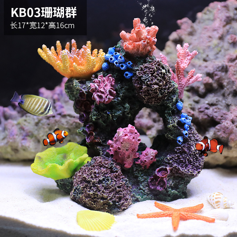 珊瑚山03号