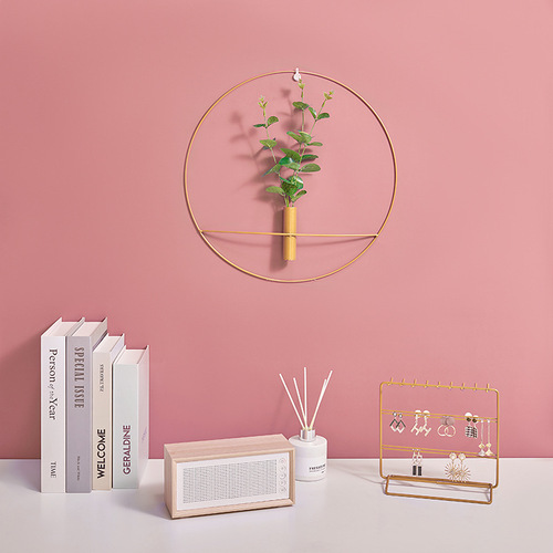 Ins Nordic Light Luxury Iron Wall Decor for Home Living Room Wall Hanging Flower Pot Wall Decoration