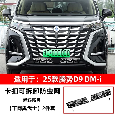 Automobile anti-insect net, Suitable for 26 models of - 25-models-of-denza-d9-black-warrior-on-the-internet-2-piece-set