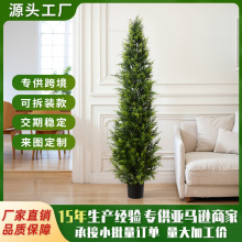 �羳���N����ؘ�������ԼҾ��҃ȑ����b[������ѩ�ɼ٘�Gֲ