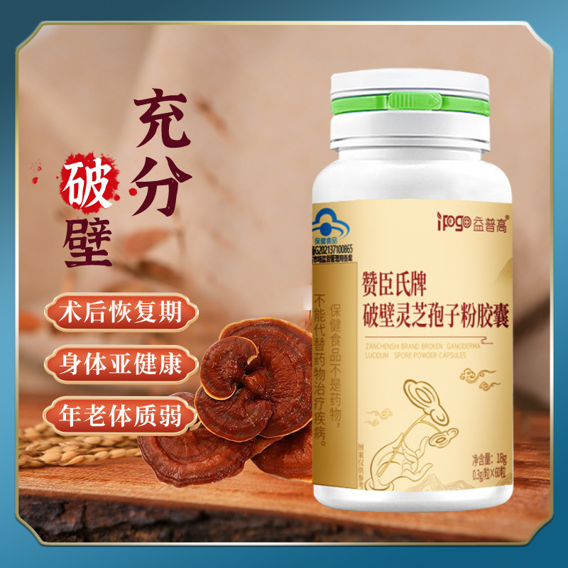 Blue-ribbon Ganoderma Lucidum Spore Powder Capsules to Enhance Immunity - Health Supplements for Middle-Aged and Elderly - Wholesale