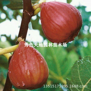 �t�����o����������Ї��Ϲ��o���������ļ��Ϸ������Nֲ����Y��