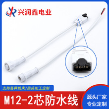 M12-2芯防水线RGB4P防脱排母0.3平方公母对插防水插头连接器接头