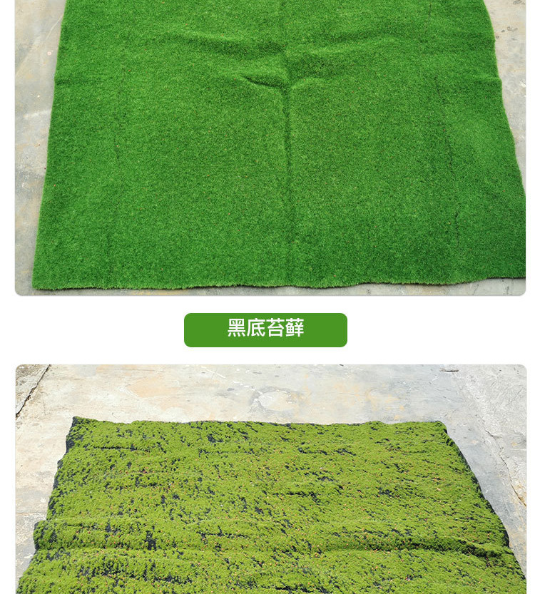 苔藓草皮详情_06.jpg
