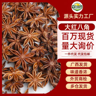 ���x�V���r���خa�˽ǟo��Ѭ ���������� Դ�^���Sֱ�l�˽��{ζ��