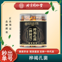 北京同仁堂怡福寿樺褐孔菌45g/缶樺茸代発