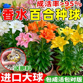 盆栽;园林果树;灌木