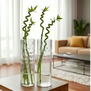 富贵竹玻璃花瓶水培花瓶高颜值家用客厅透明插花瓶插花摆件花瓶