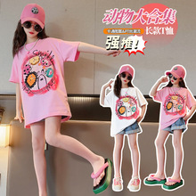 童T恤2024夏季新款女童韩版卡通动物棉短袖t恤中大儿童打底衫上衣