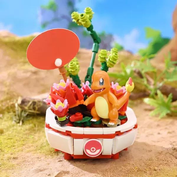 K20218 Little Fire Dragon Potted Plant