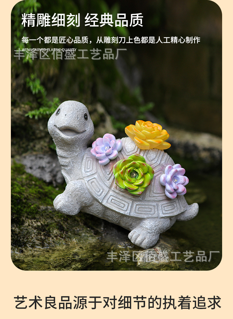 多肉乌龟_03.jpg