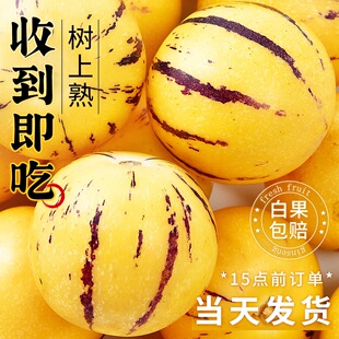 ���ʯ���˅���10���r������ˮ���߲��������Ľ��˅��S���������]