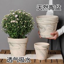 绿陶简约陶土花盆白陶兰花家用陶盆北欧风陶瓷大号家用大陶瓷盆