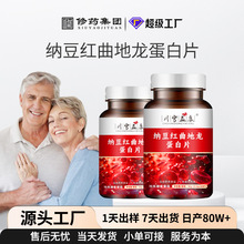 纳豆红曲地龙蛋白片纳豆激酶片呵护中老年健康特殊膳食定制贴牌