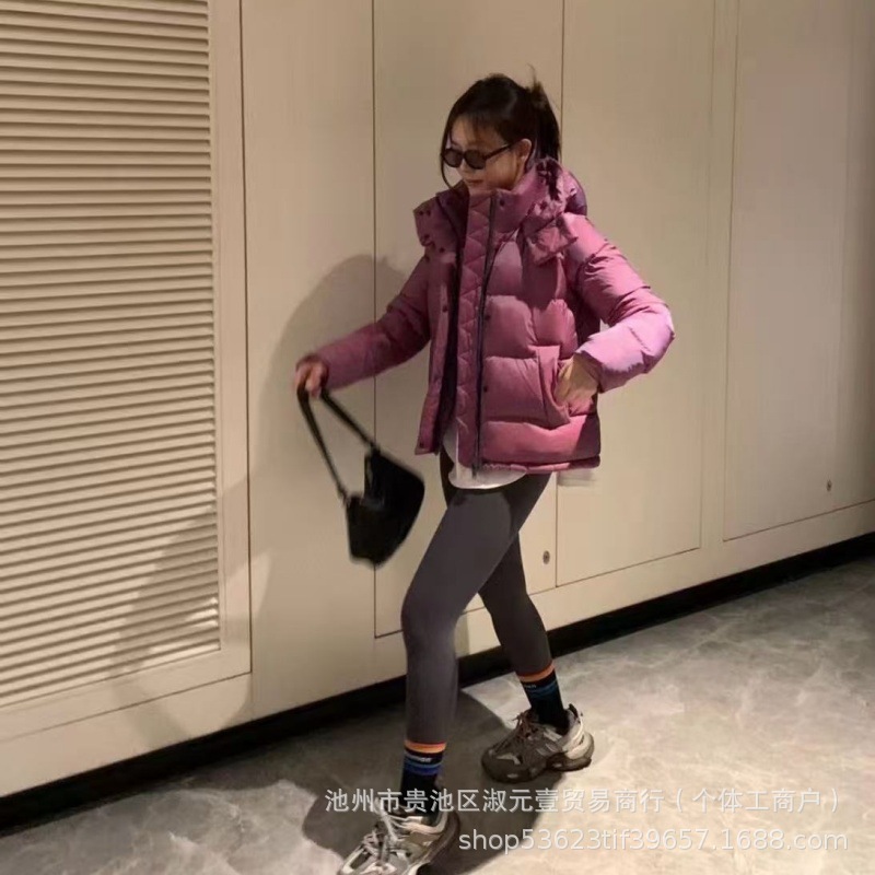 微信图片_20251012214850_322_185_副本