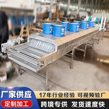 隧道式高溫網帶烘干線小型木材干燥機不銹鋼連續五層網帶烘干機
