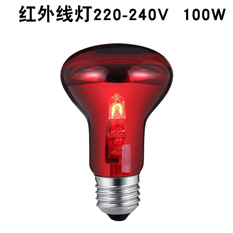 R63220v 적외선 램프 100w