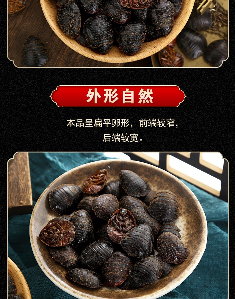 Dried Ground Beetle Tu Yuan 土鳖虫 Whole Insect TCM Herb 500g Selected Large Size quality and texture