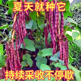 ������æ���ǷN�ӡ��������߮a�o���ļ����ͺ��͟��̨����СԺ�N